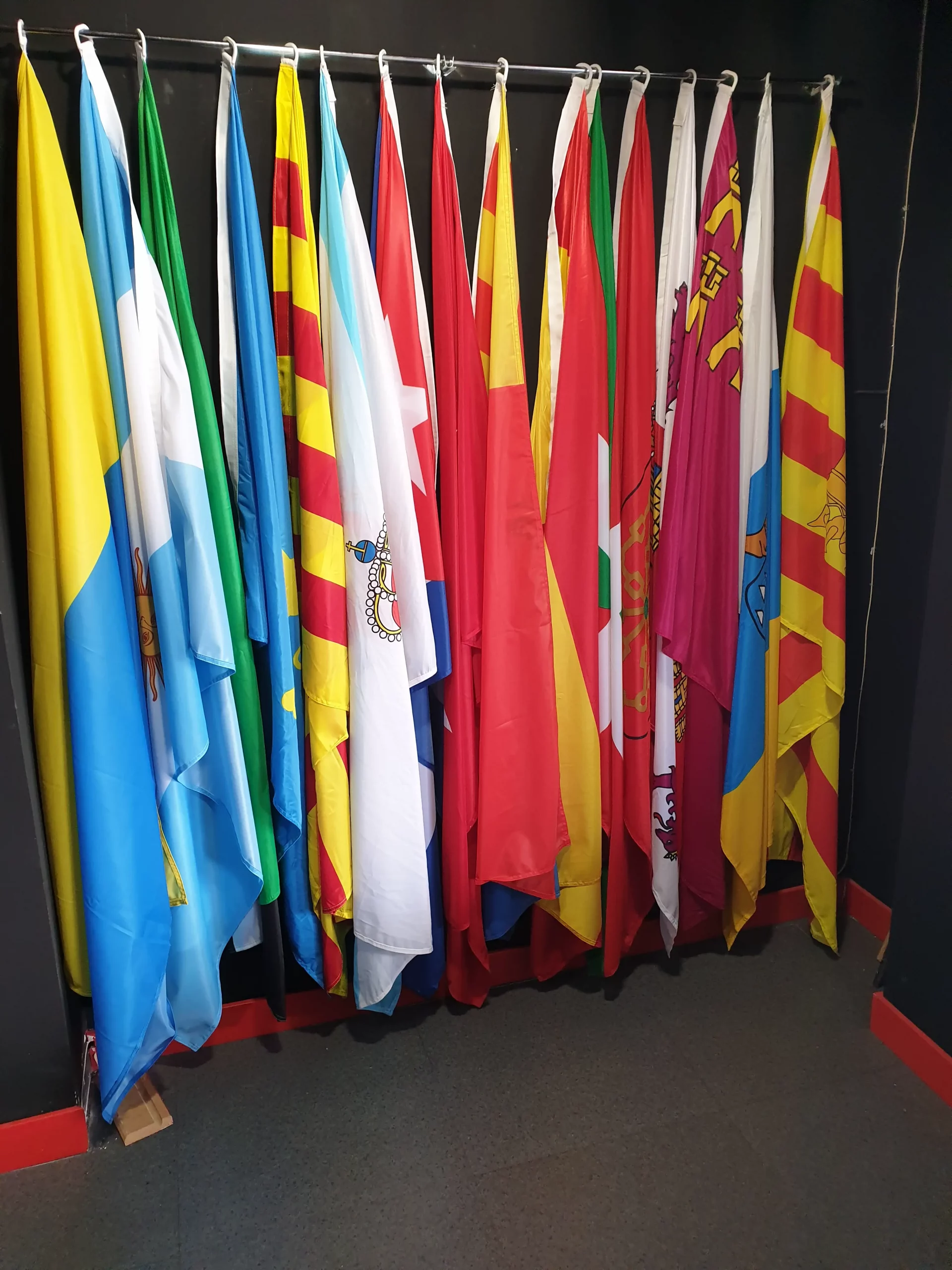 Galeria
imagen de banderas institucionales en exposicion